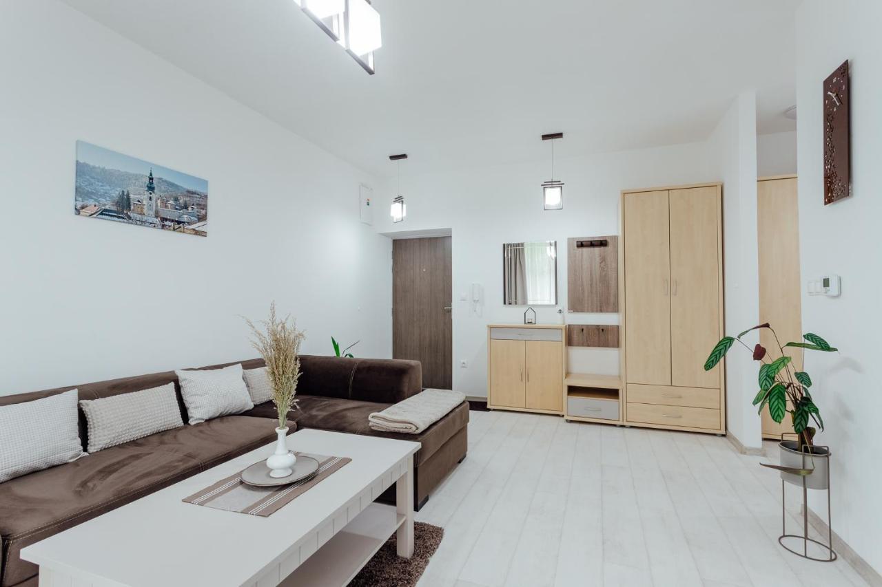 Apartman Vo Vile Kammergraf Banská Štiavnica Екстериор снимка